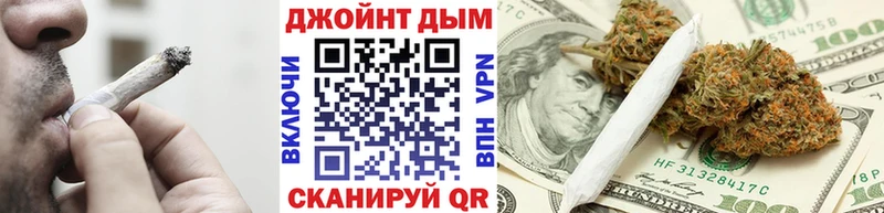 Купить закладки  Закаменск  Каннабис сатива 
